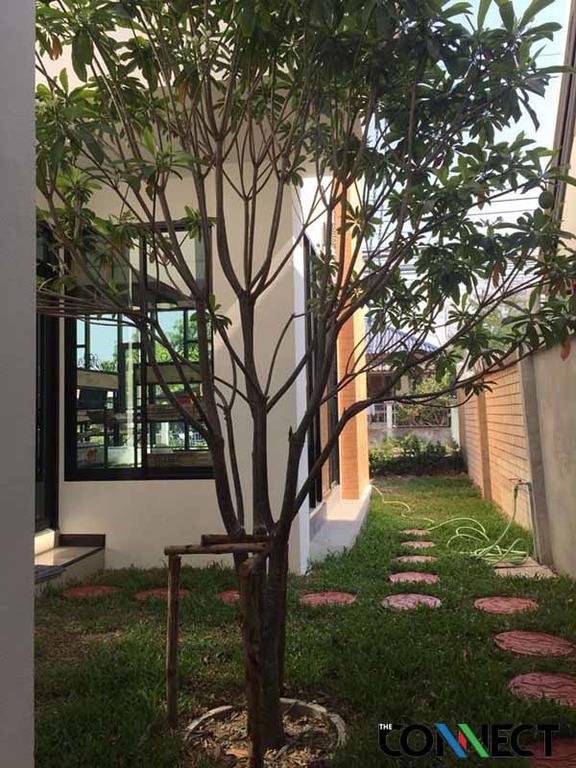 The Connect Chiang Mai Hotel Exterior photo
